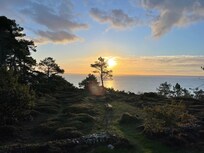 Dawn from bedroom window