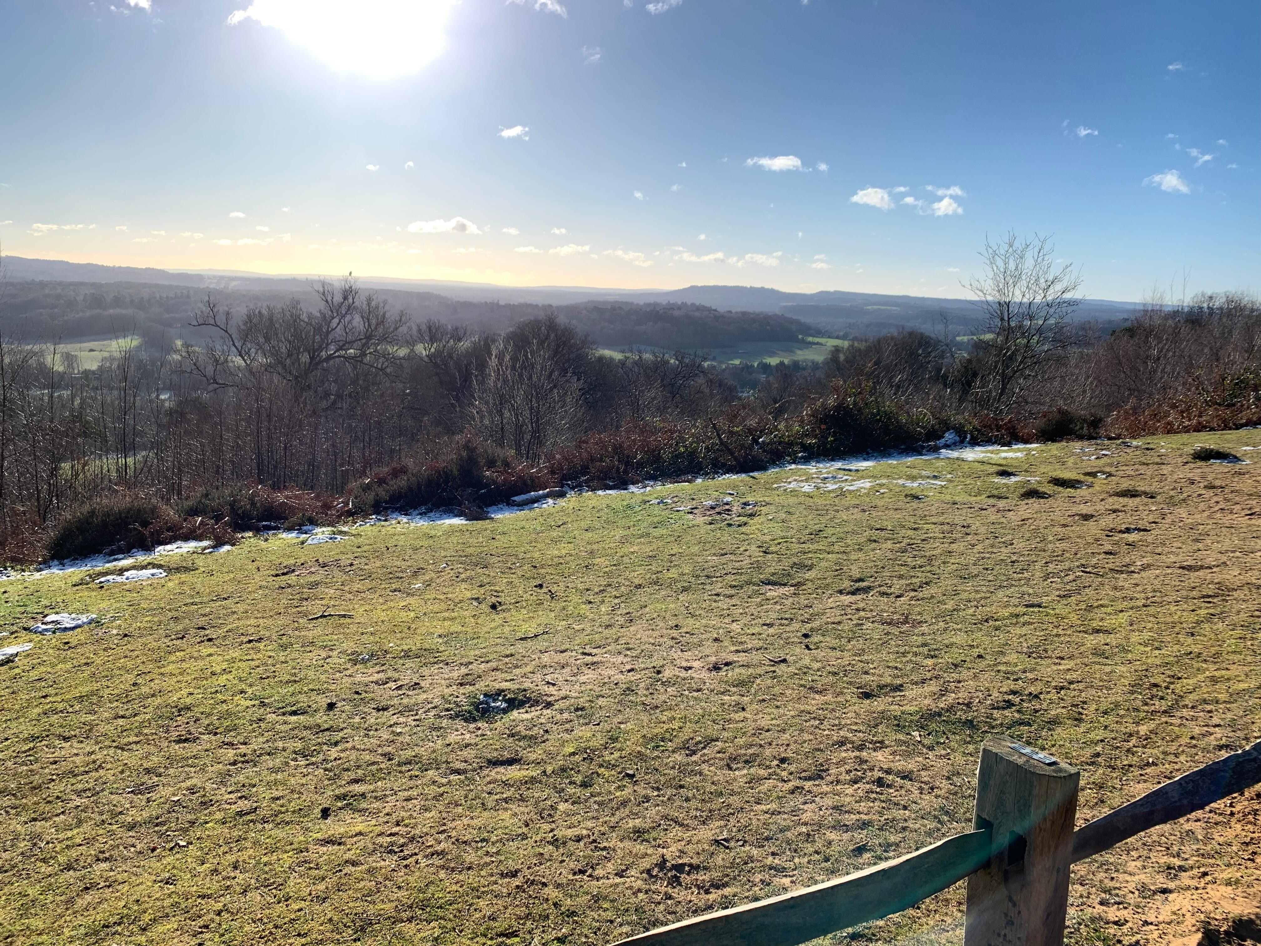 Surrey Hills