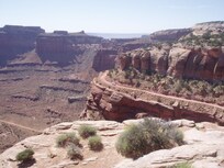 Shafer Road