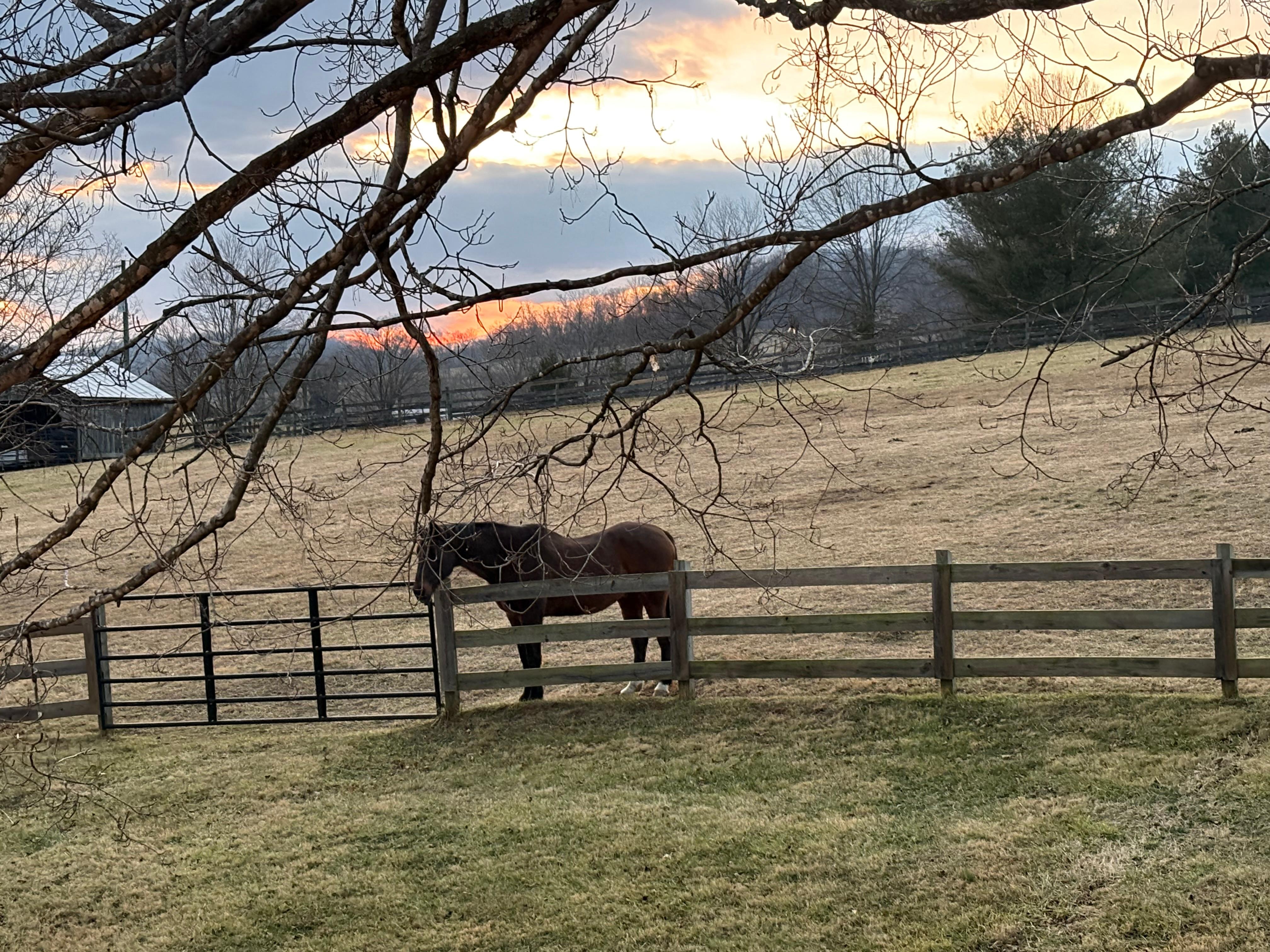 Jasper was so friendly 