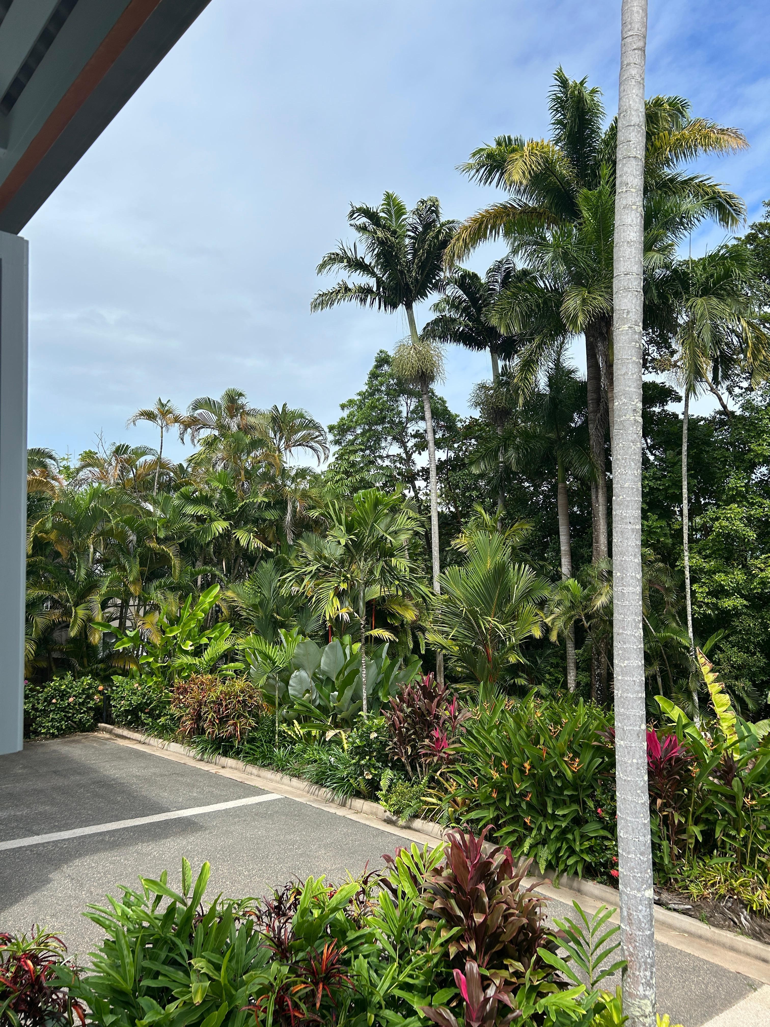 View from living room terrace