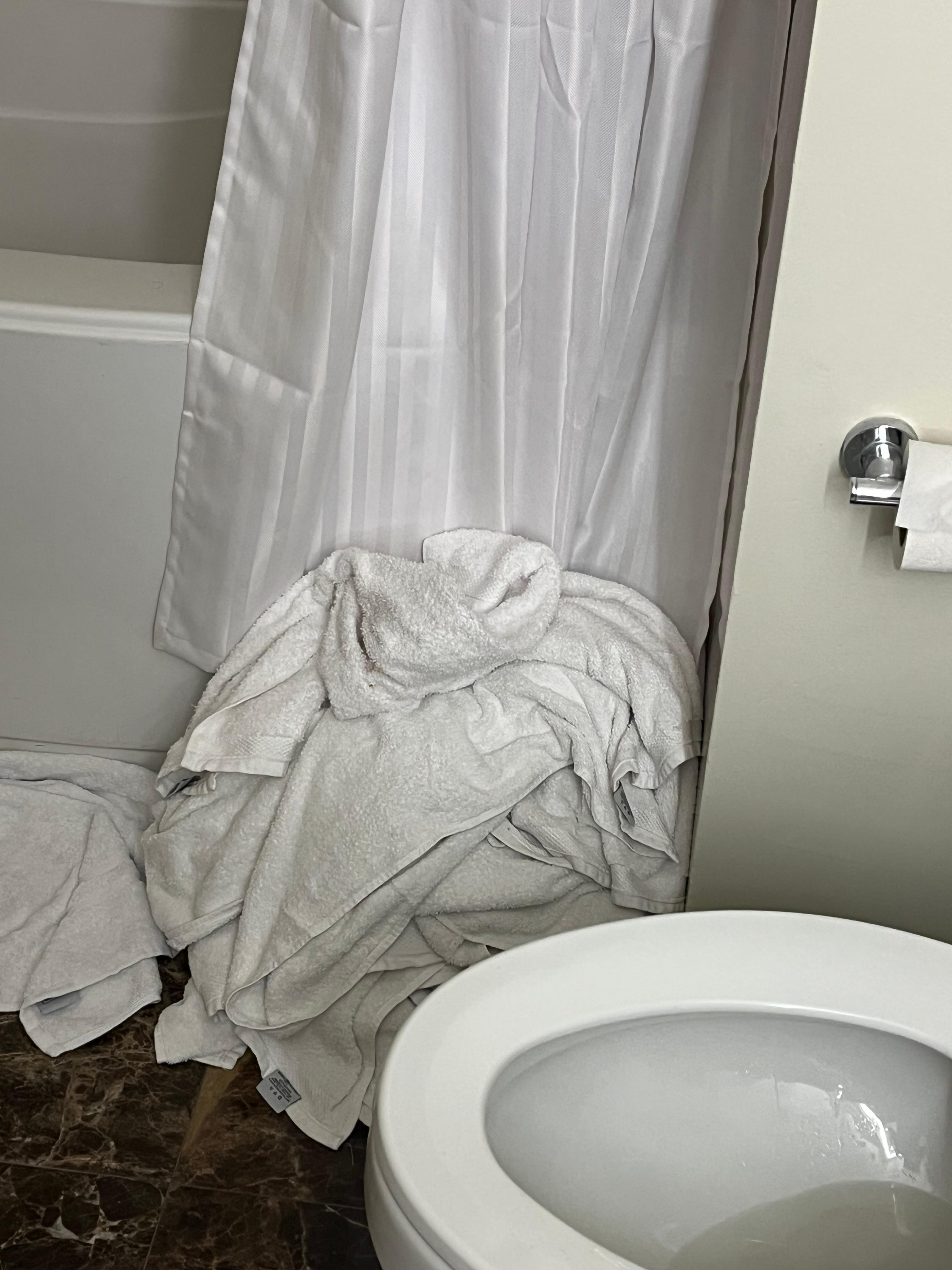 Luckily was able secure multiple towels one day because they never came back to clean and replace 