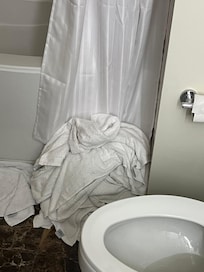 Luckily was able secure multiple towels one day because they never came back to clean and replace