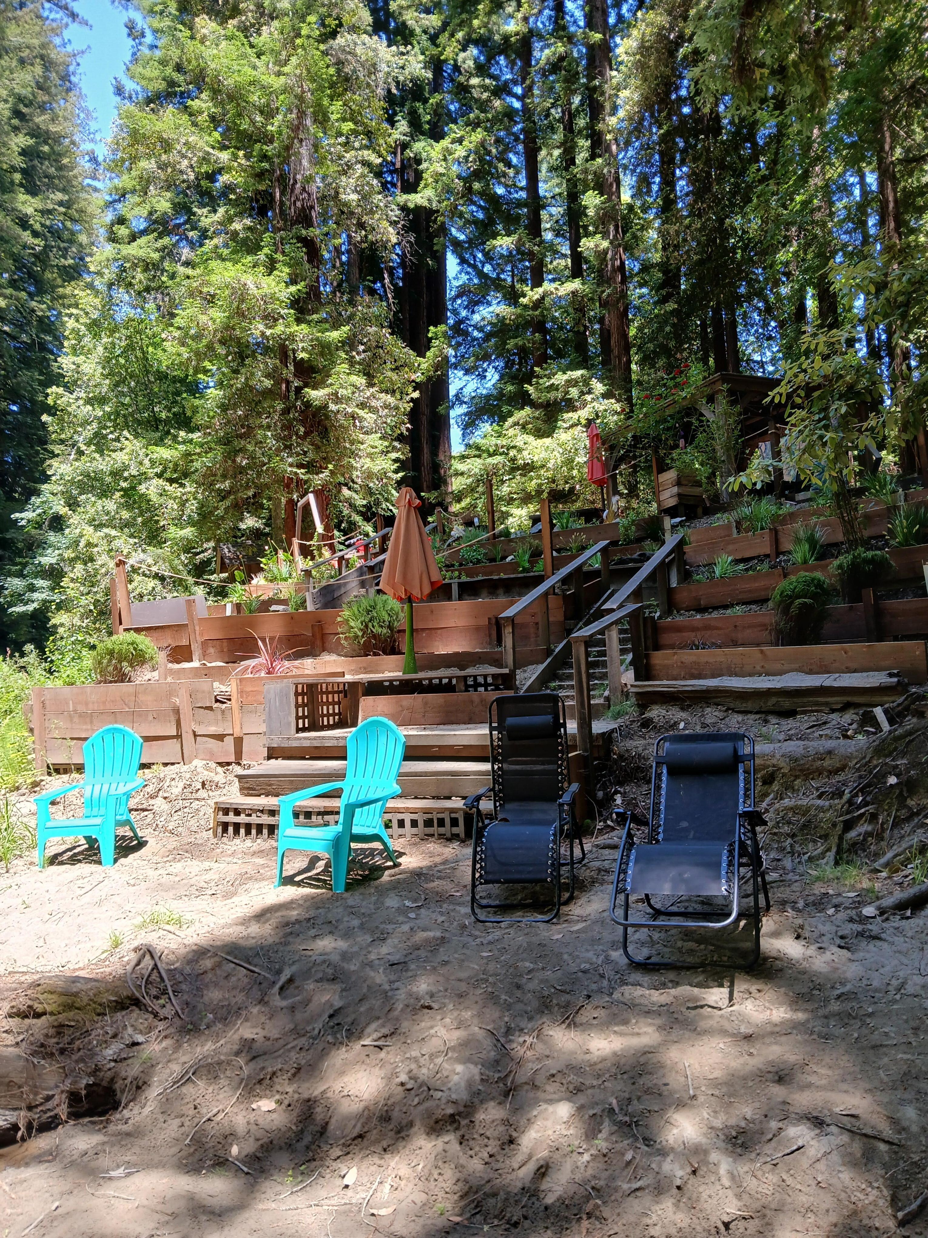 Beach area