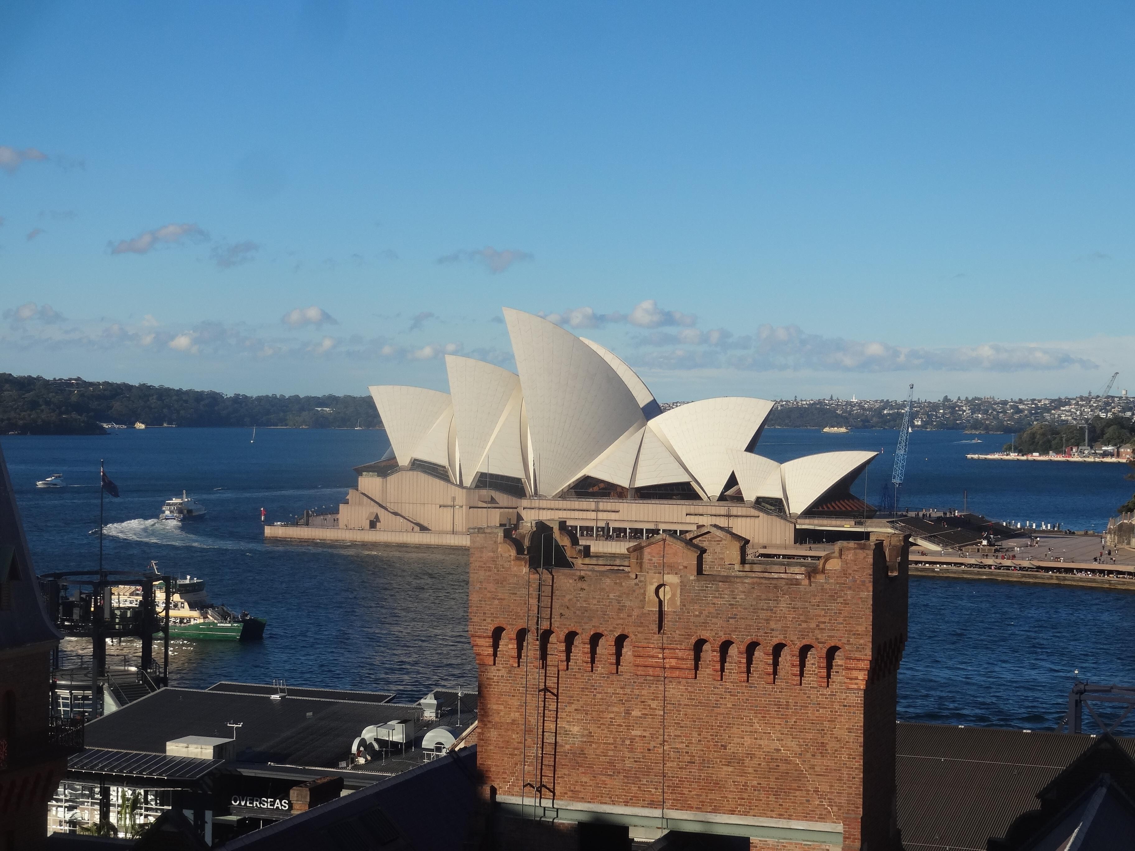 View from the rooftop pool!