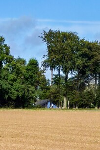 L'arrière de la maison est visible depuis les prairies, entre les arbres.