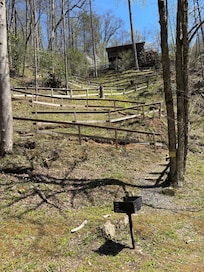 Property view from creek