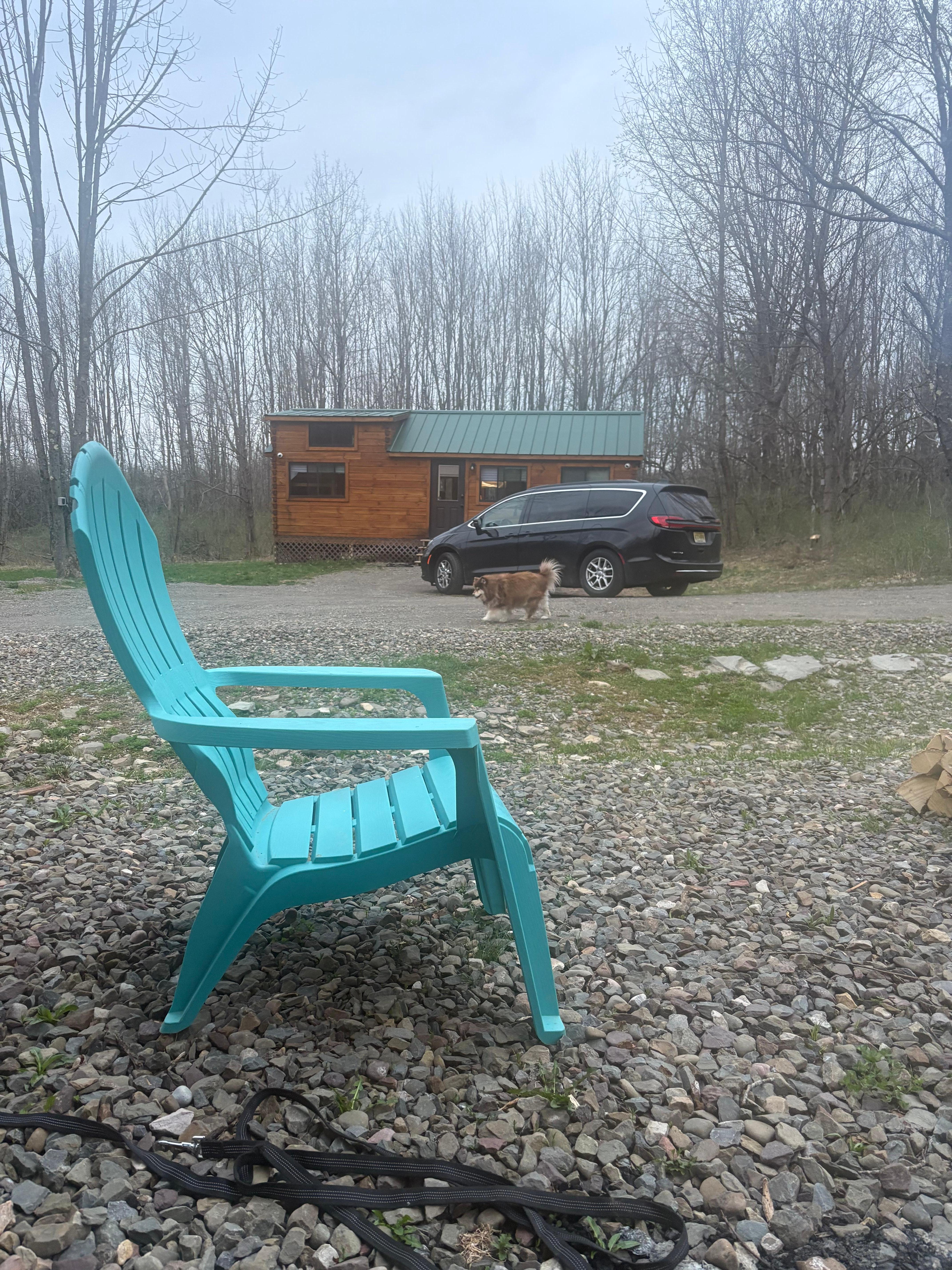 View of cabin and property from the fire pit