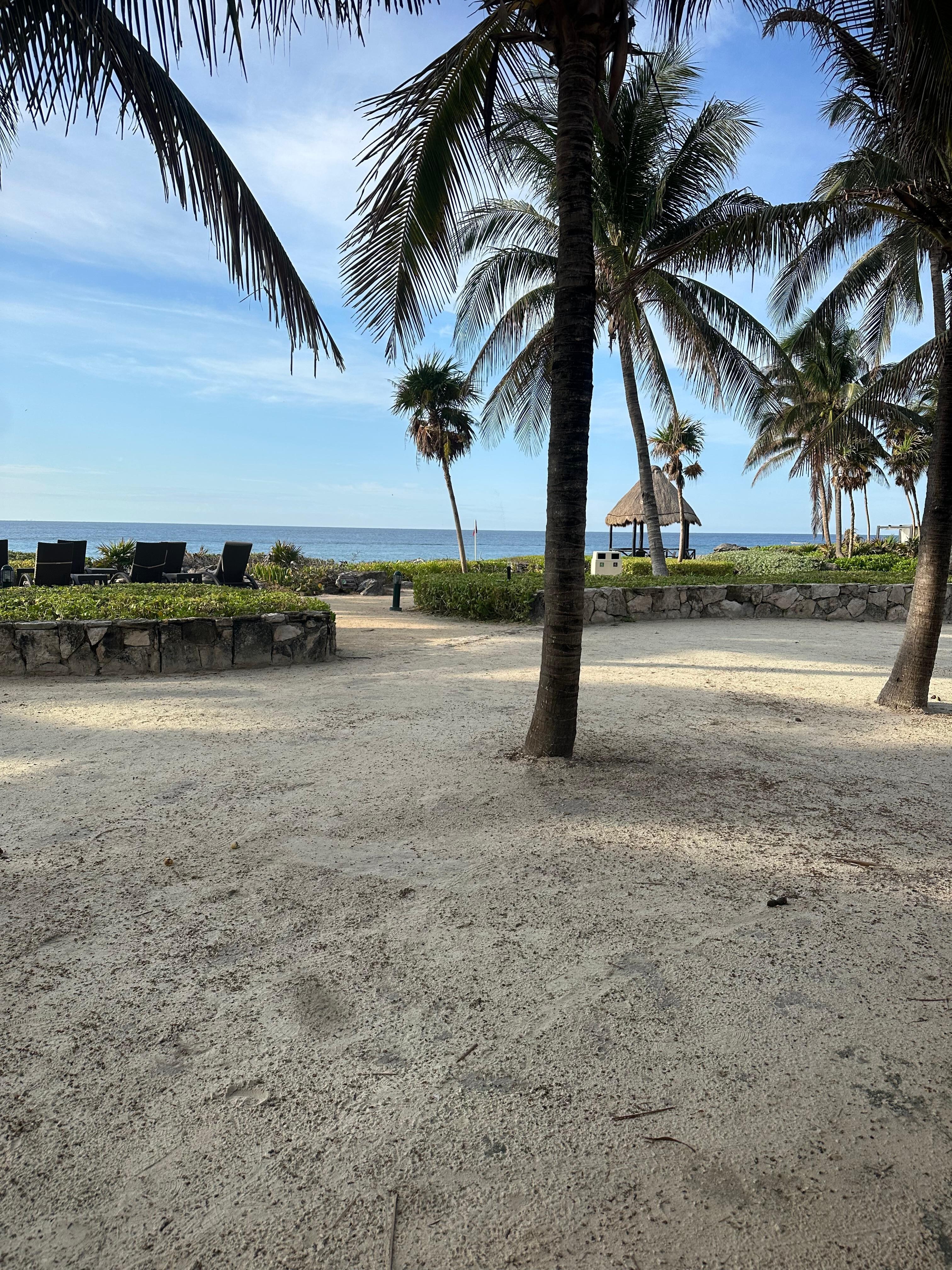 View from the royal restaurant. 