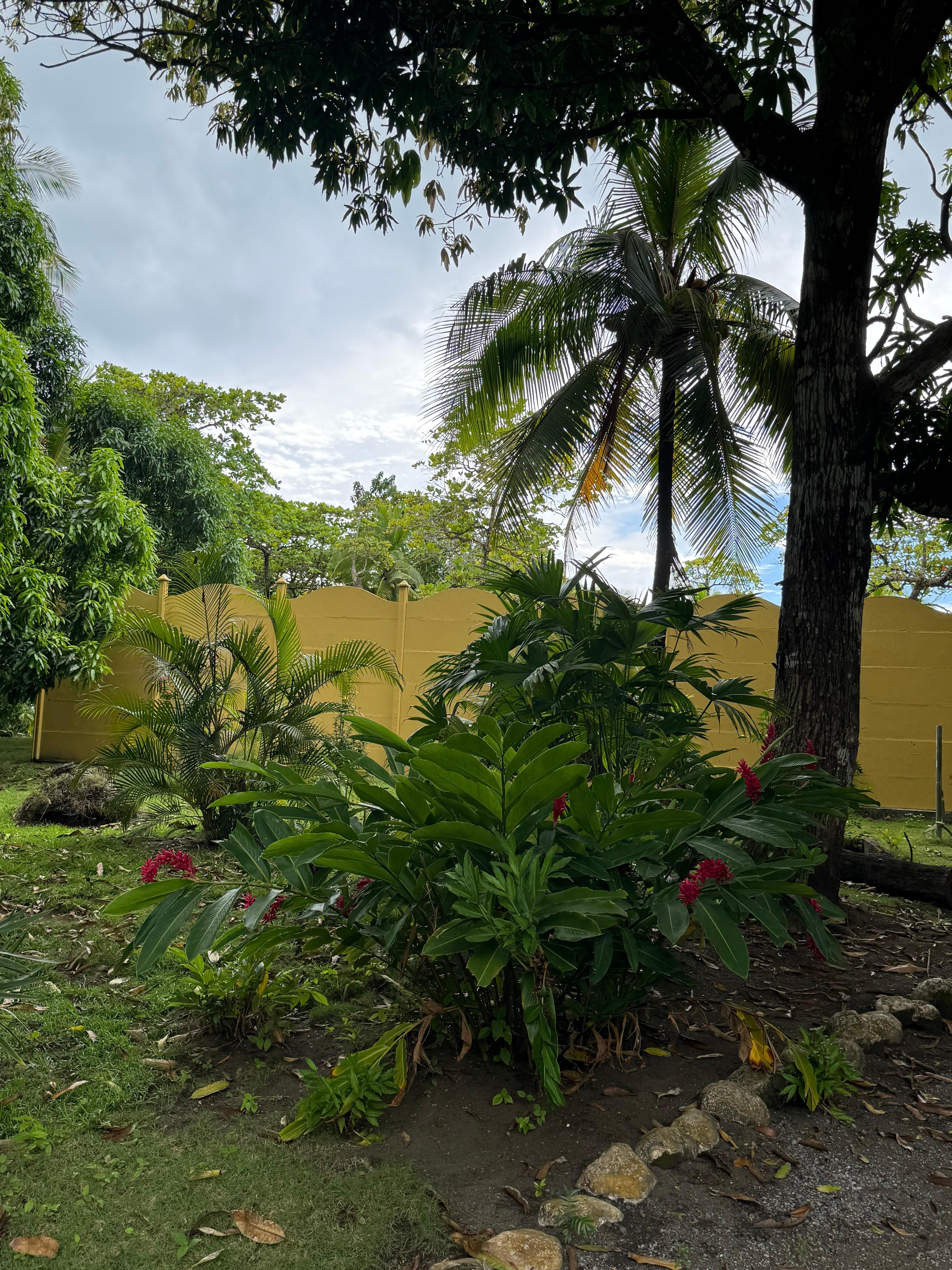 Entering the property from the road on the circular driveway