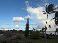 Views from the lanai