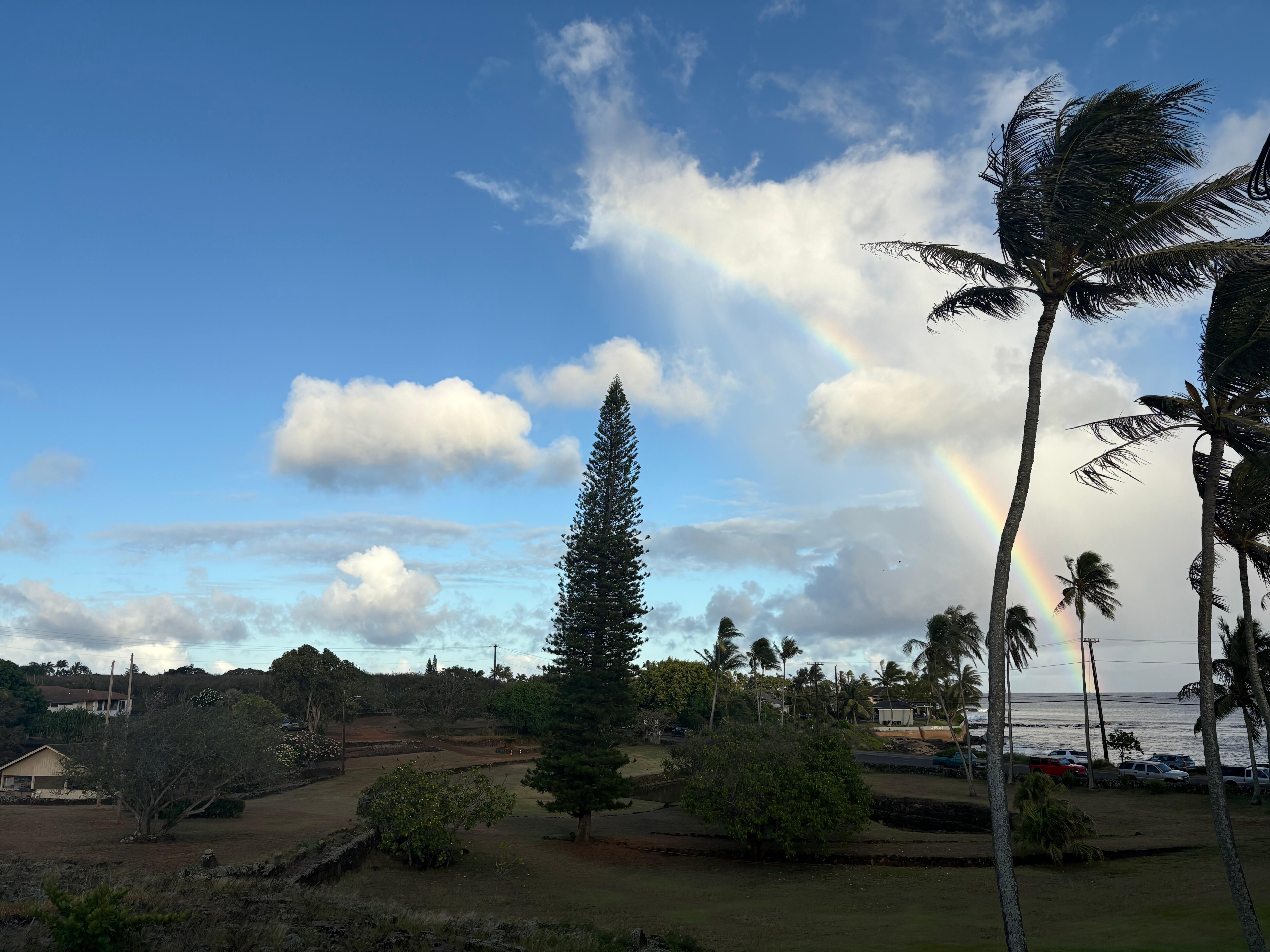 Views from the lanai 