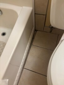 Flooring poorly installed. Group cracked and dirty