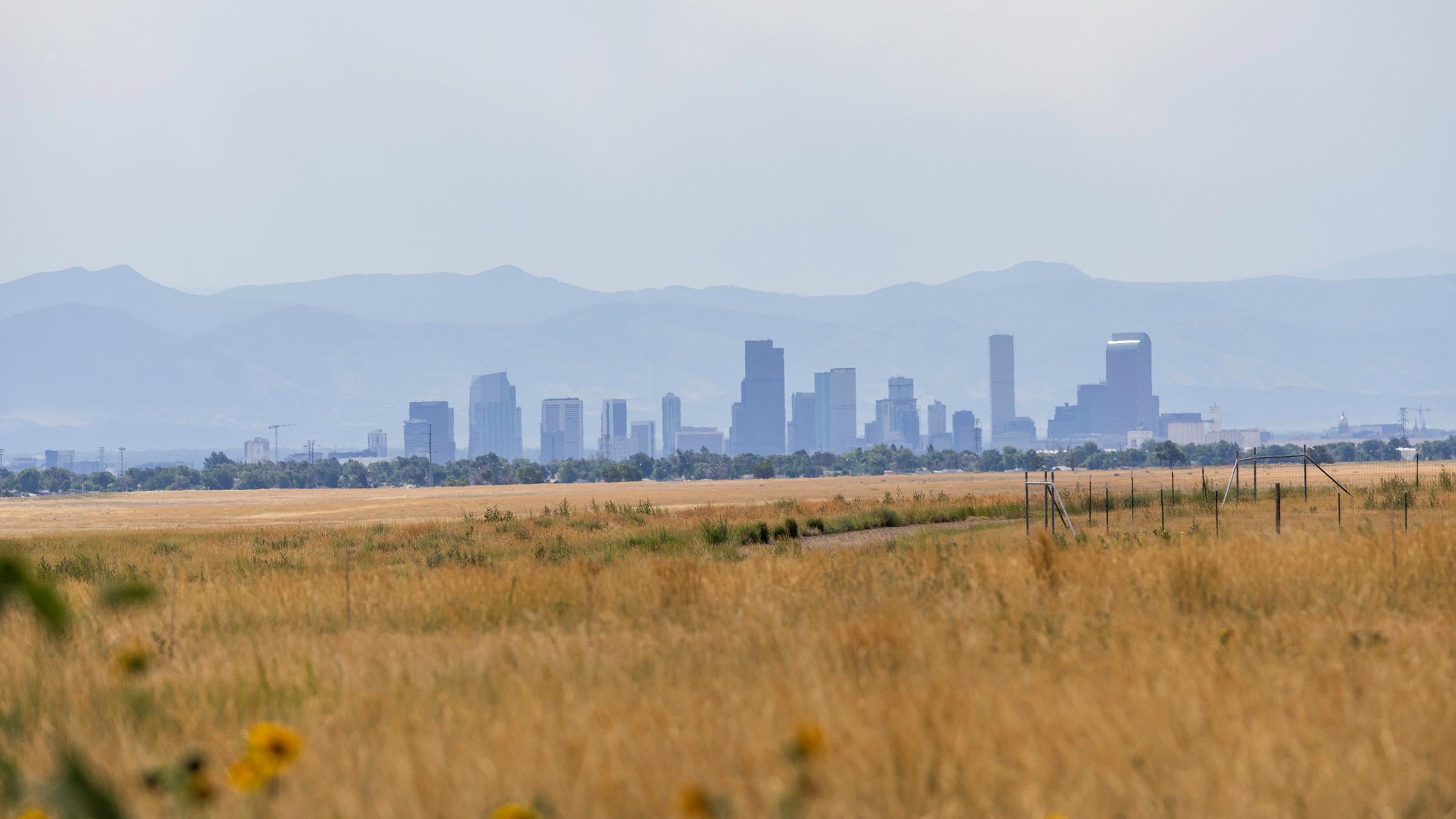 Denver skyline from the Rocky Mountain Arsenal National Wildlife Refuge.