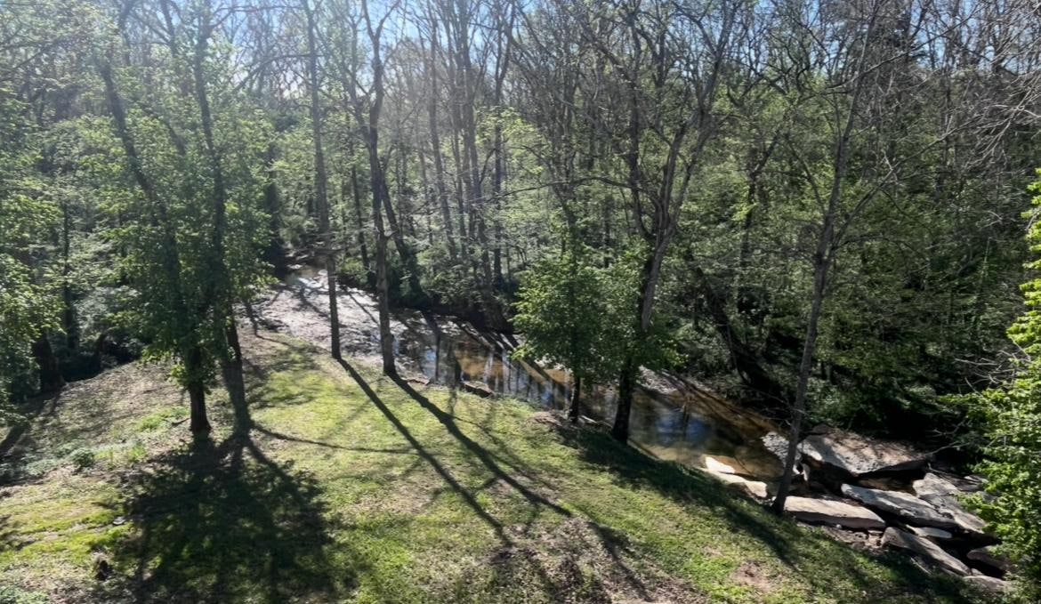 View from back patio