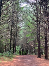 Wisconsin State Park