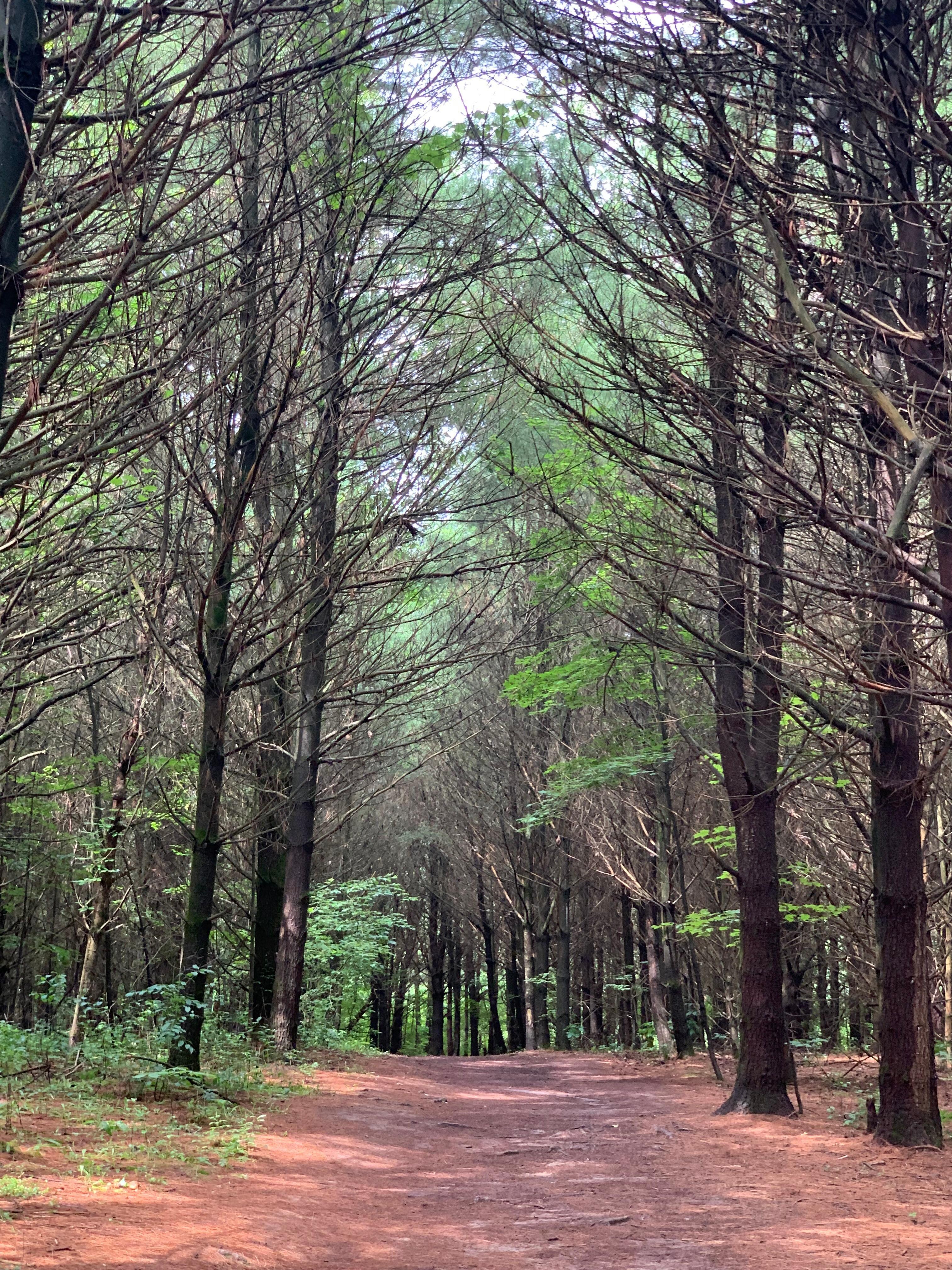 Wisconsin State Park
