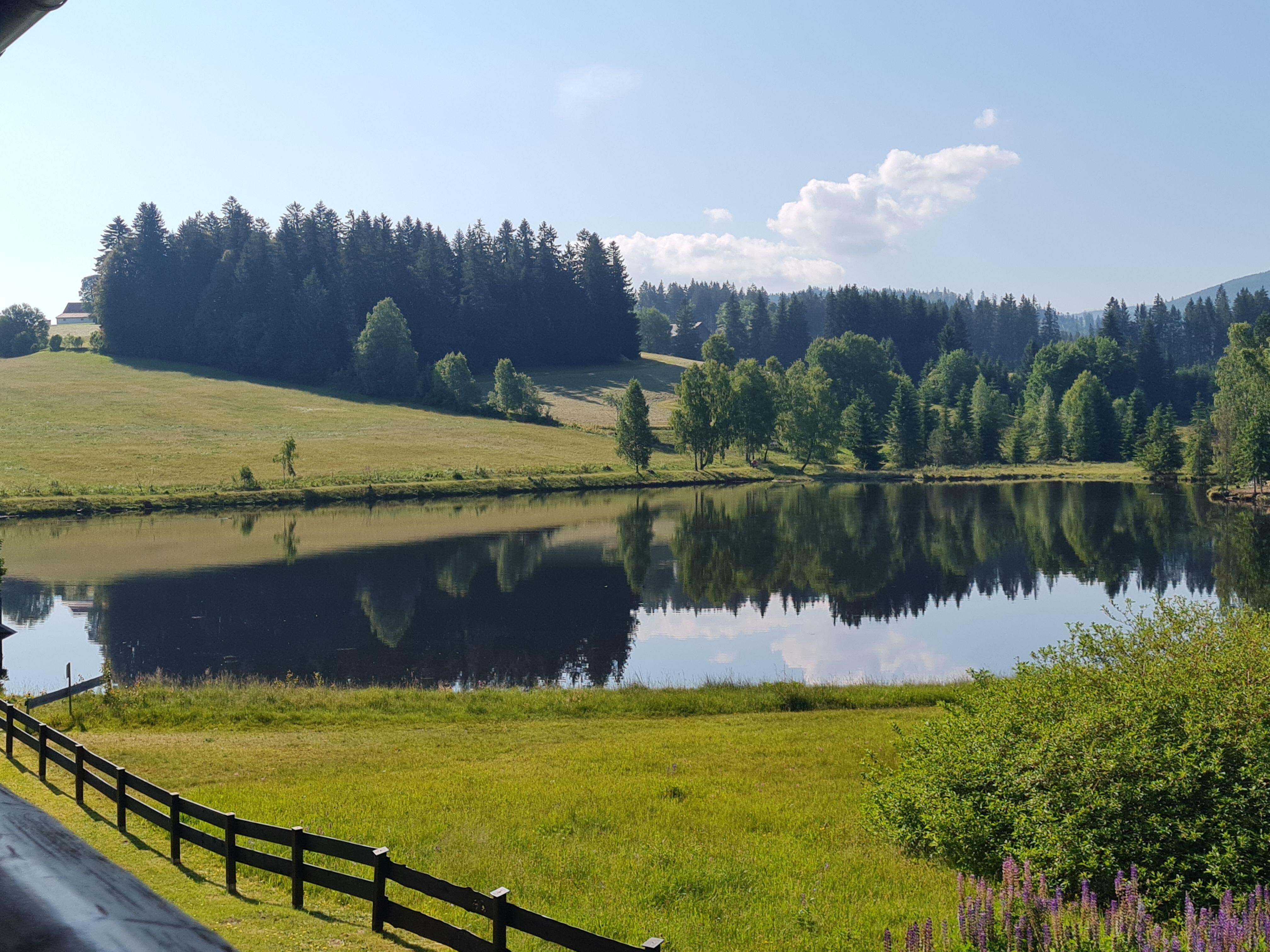 Blick direkt vom Balkon 