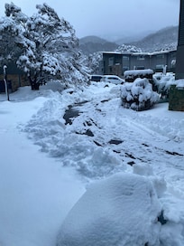 View from the window