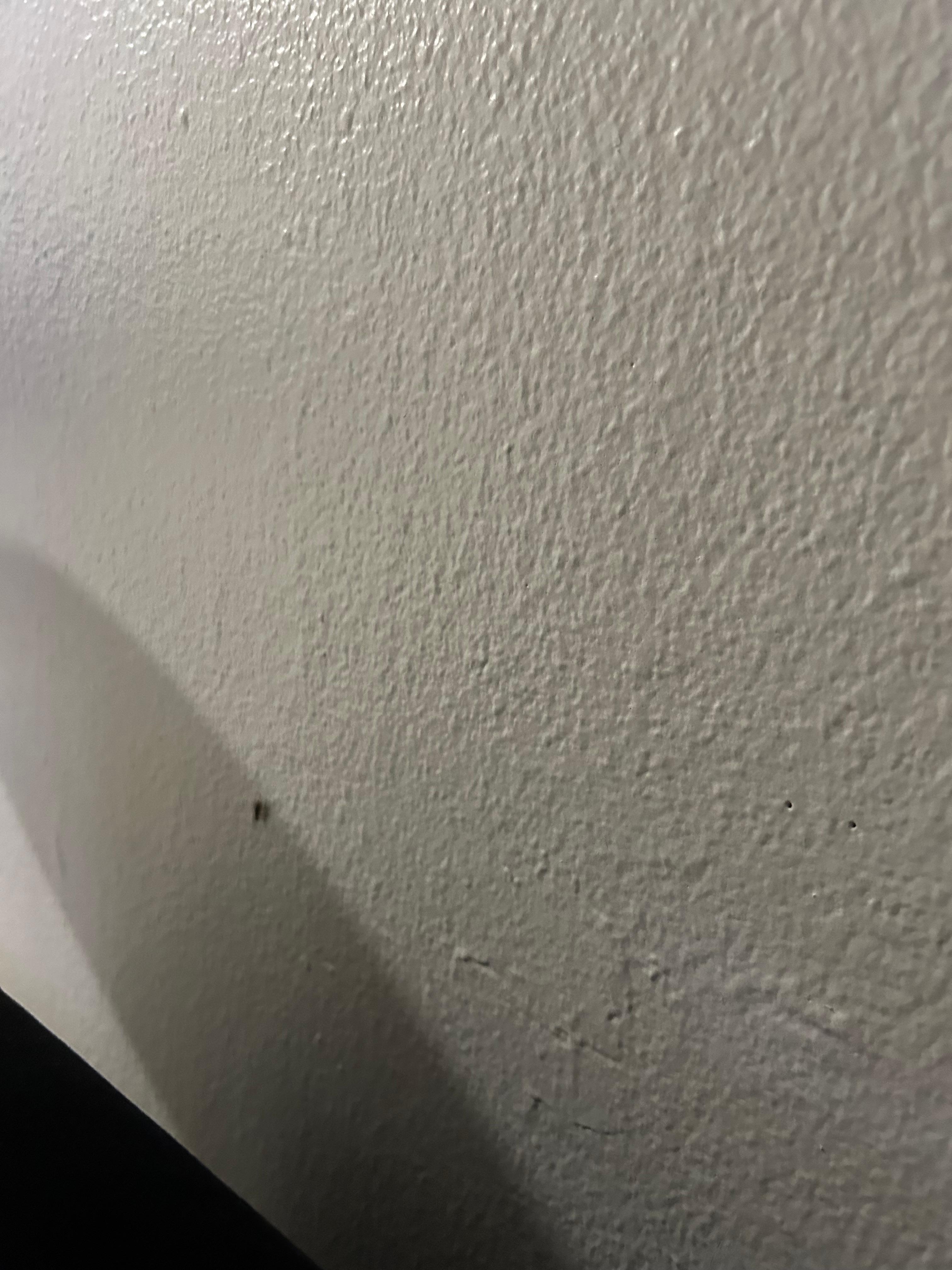 Roach while watching a movie. 