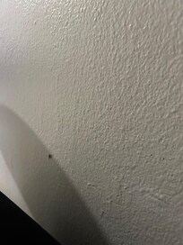 Roach while watching a movie.