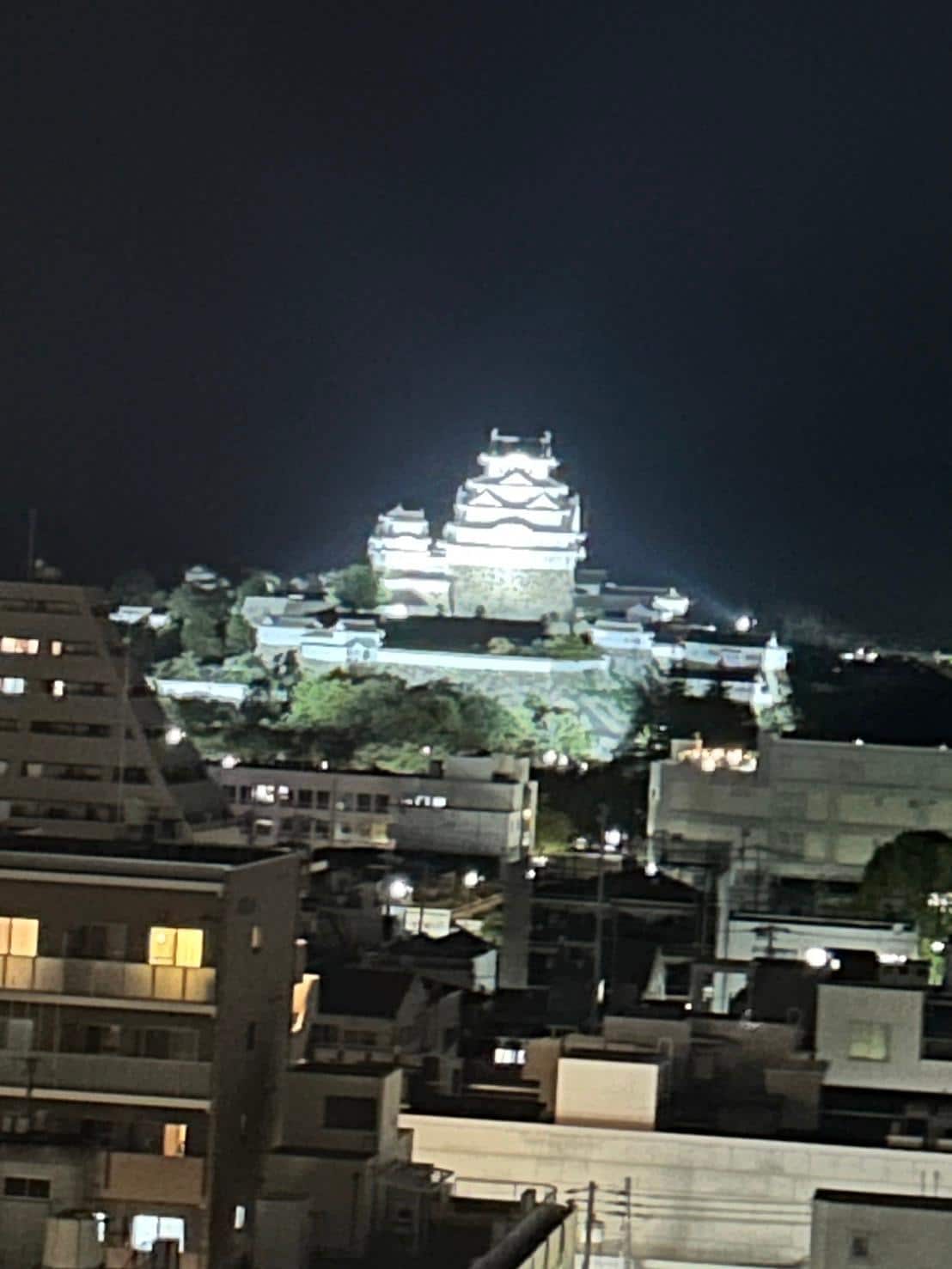 偶然にも城側の部屋で姫路城のライトアップが見れました。