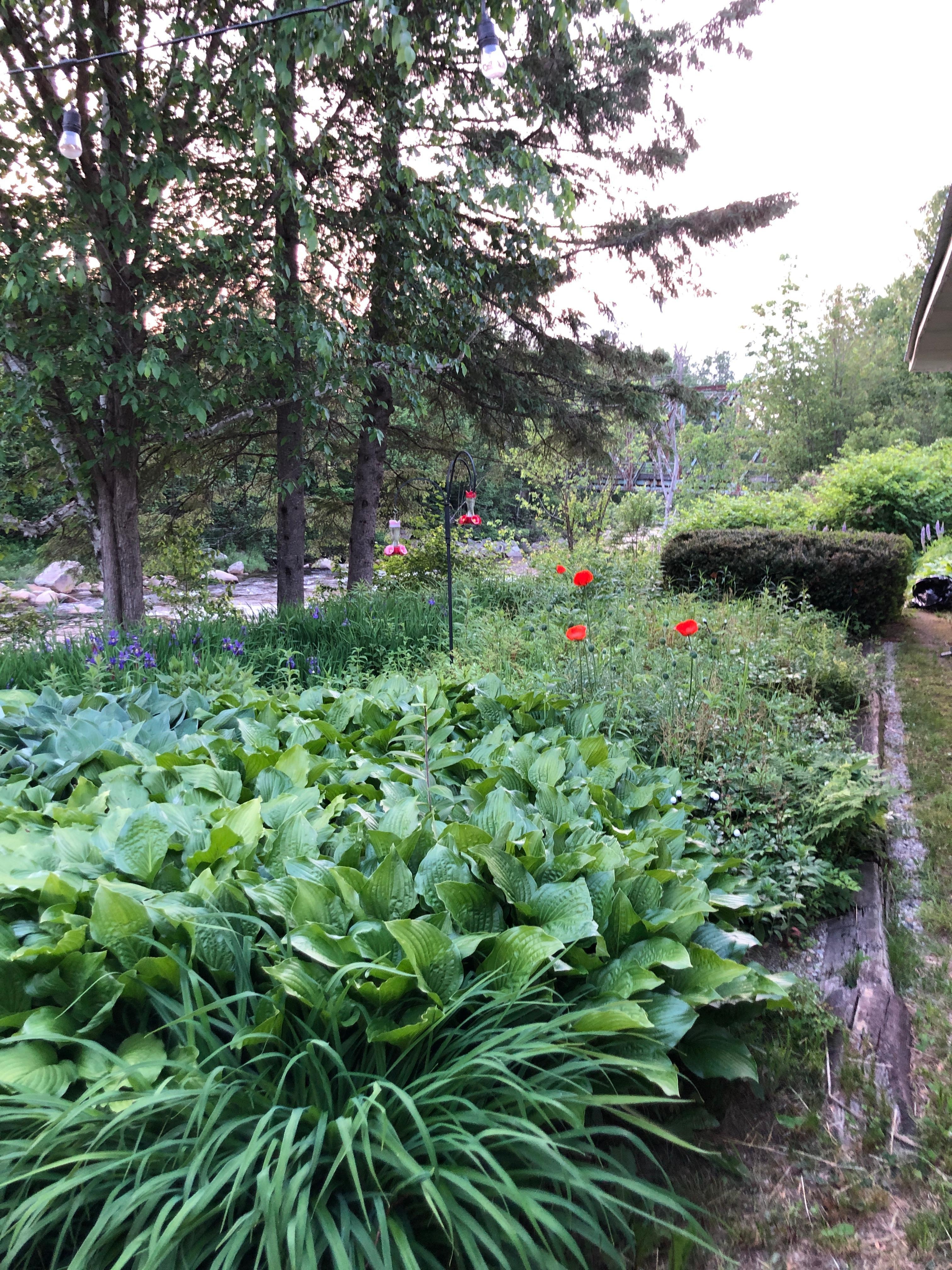 Garden in front of the dining area