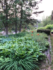 Garden in front of the dining area