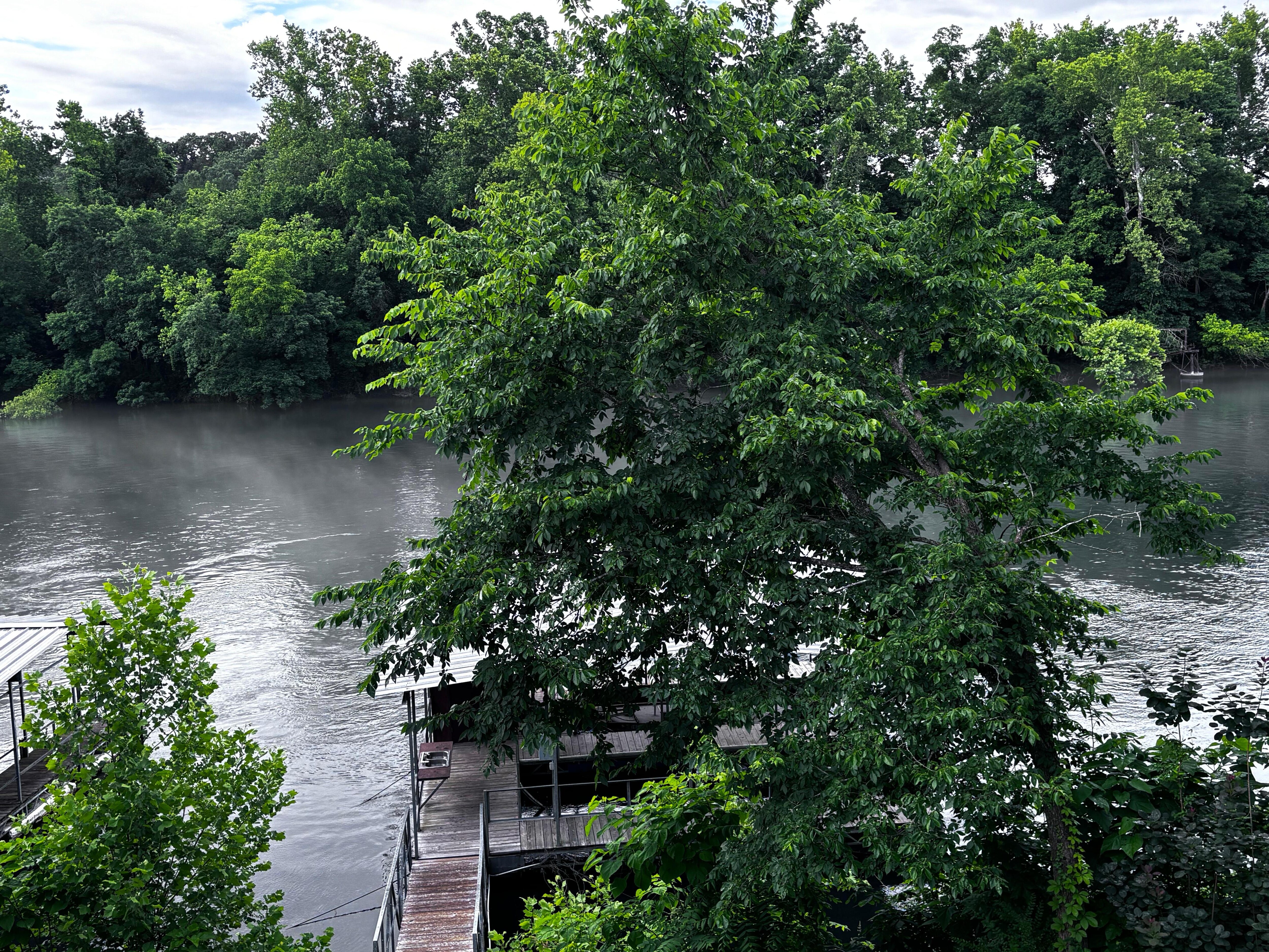 Back deck view ❤️