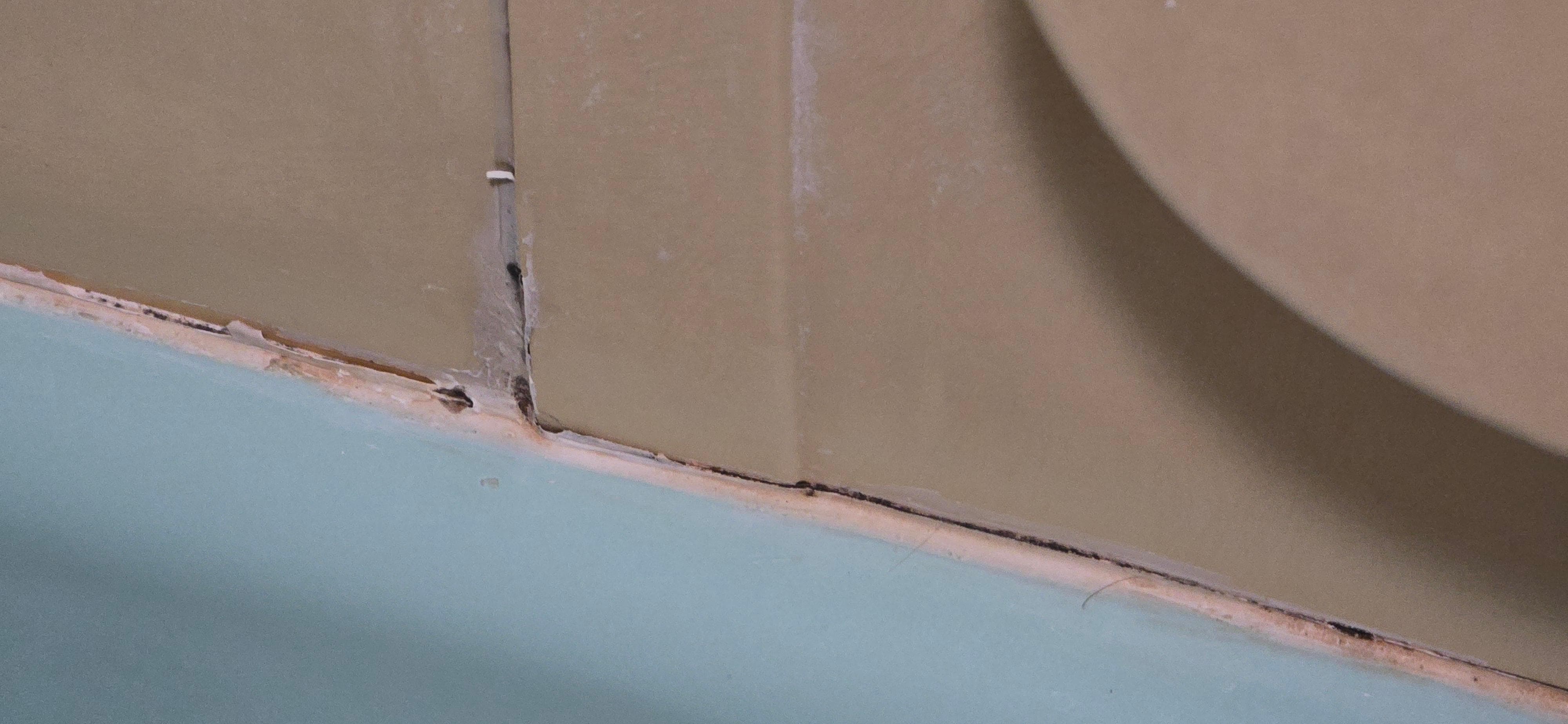 More mold in shower