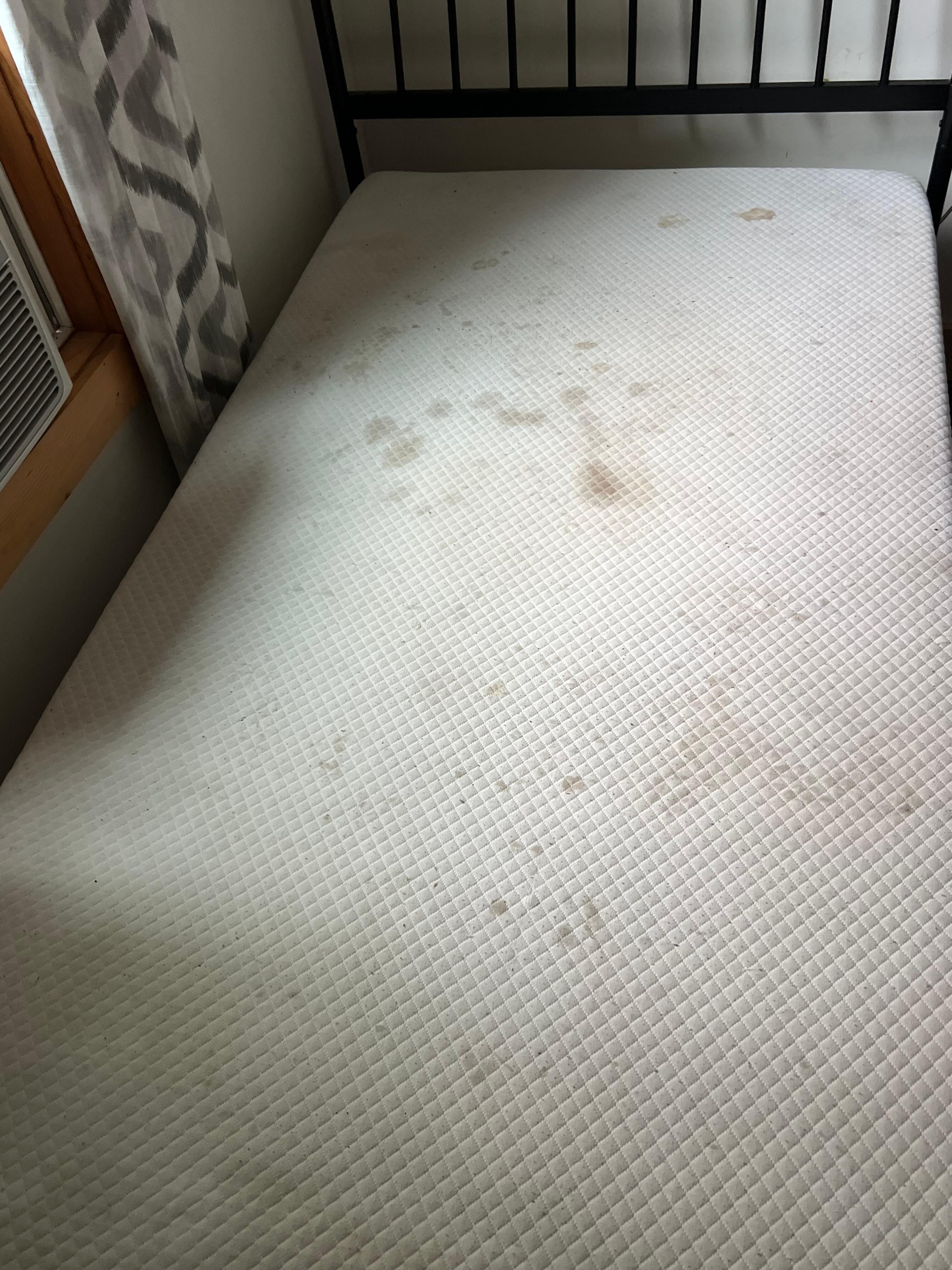 Twin matress 1, we only saw this because the sheets were dirty and she had us remake them ourselves. If you rented a space, would you let your clients see this?