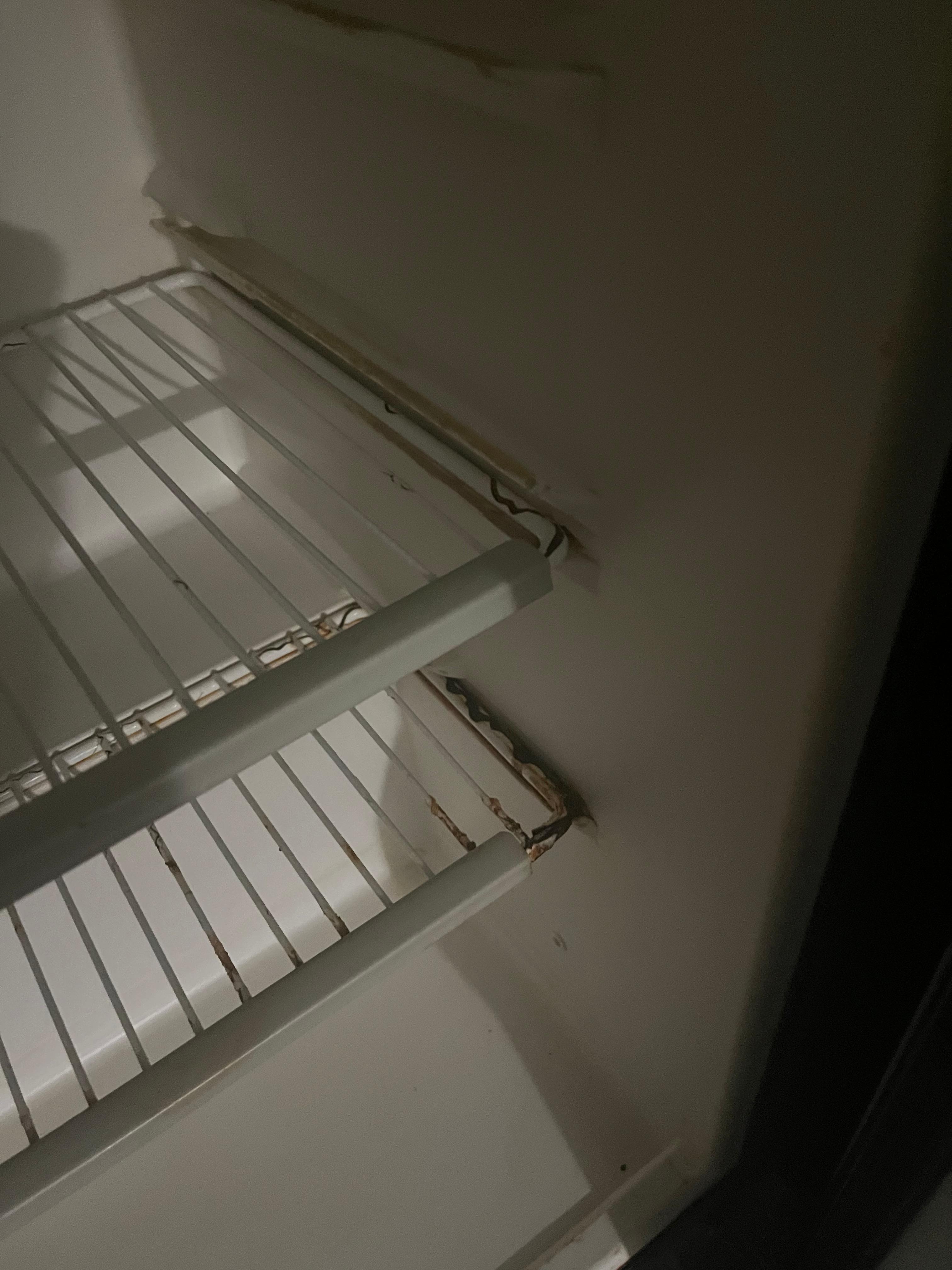 Inside rusty refrigerator 