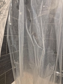 Dirty Shower Curtain