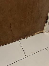 Bathroom door. Front and back like this.