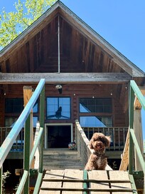 Mochi, enjoyed her time at the river.