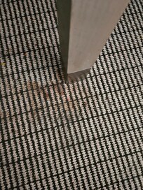 Stained carpet