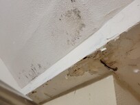 Bathroom Yuk from another angle