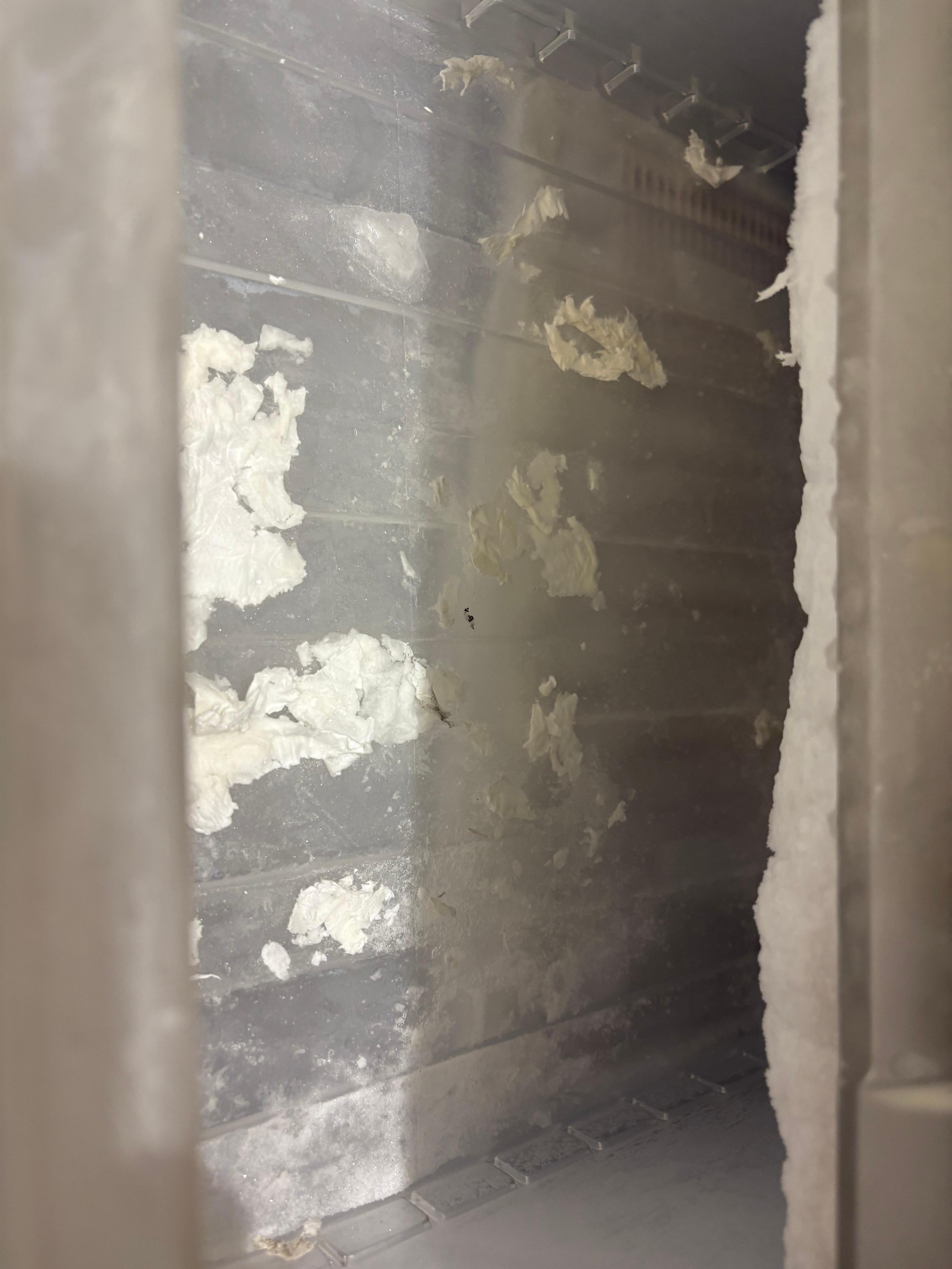 Stuff in freezer