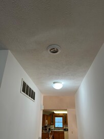 No smoke detector