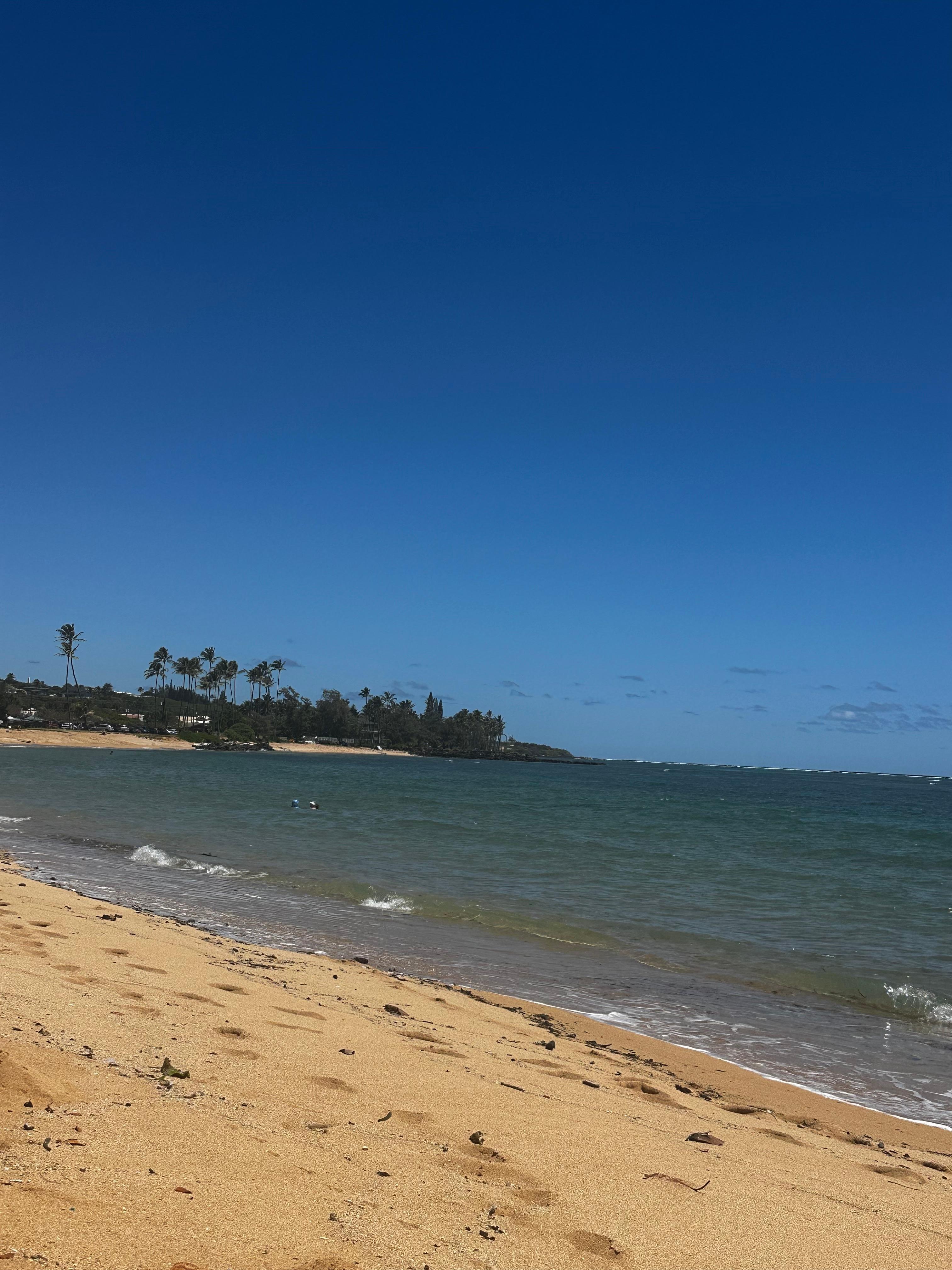 Beach view, steps away from the left side of the condo.