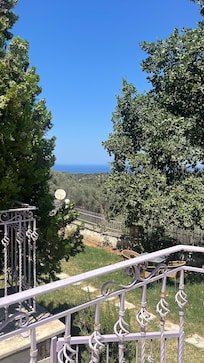 View from the balcony
