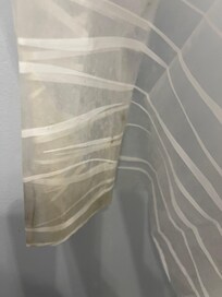 Dirty shower curtain