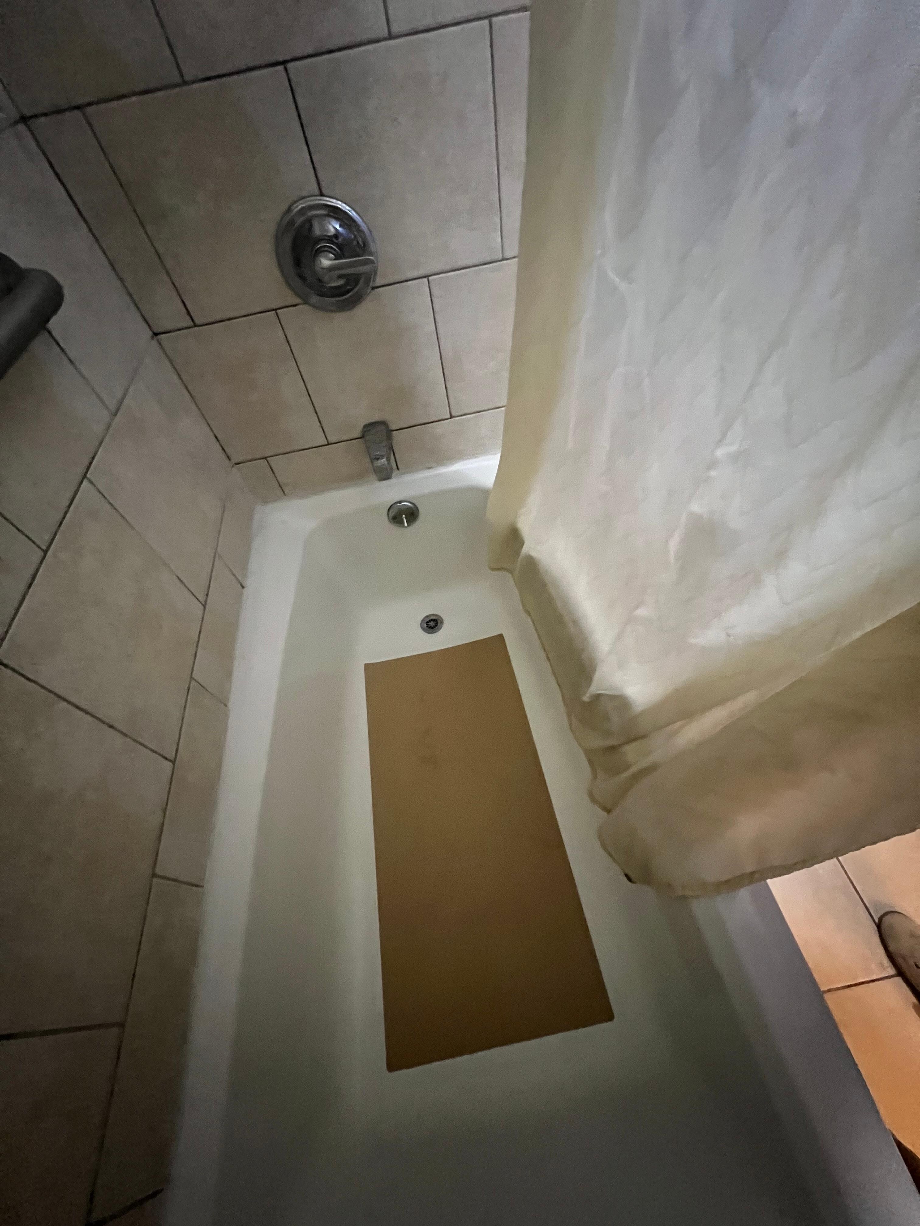Mold in shower tiles.