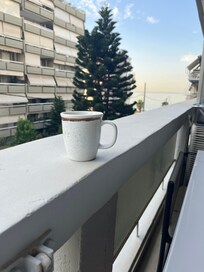 Enjoyed the "sea view from the patio .