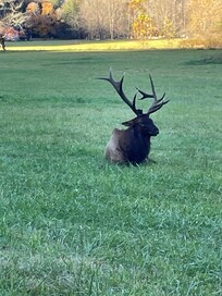 Cherokee, North Carolina