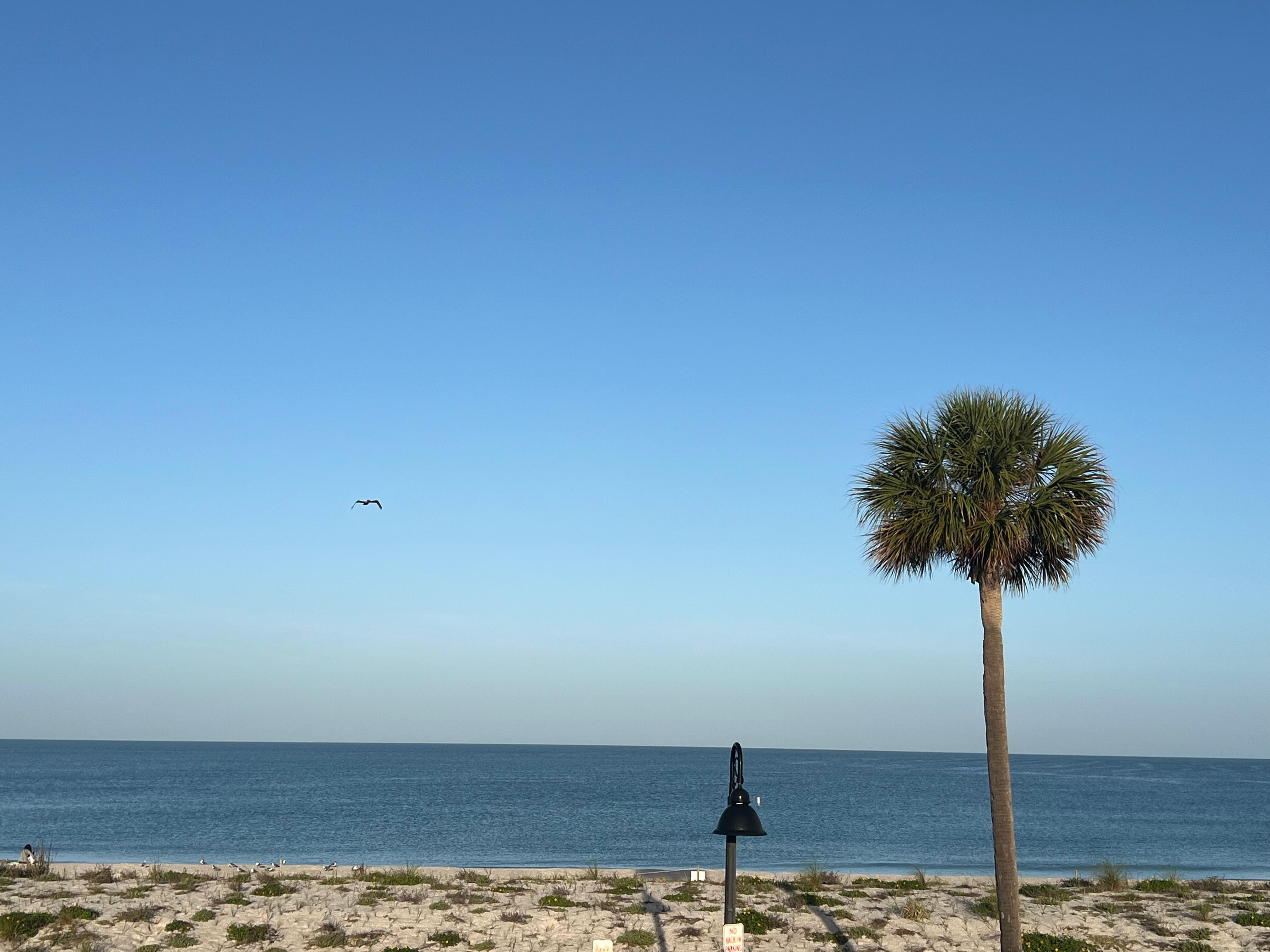 View from balcony access one floor up 