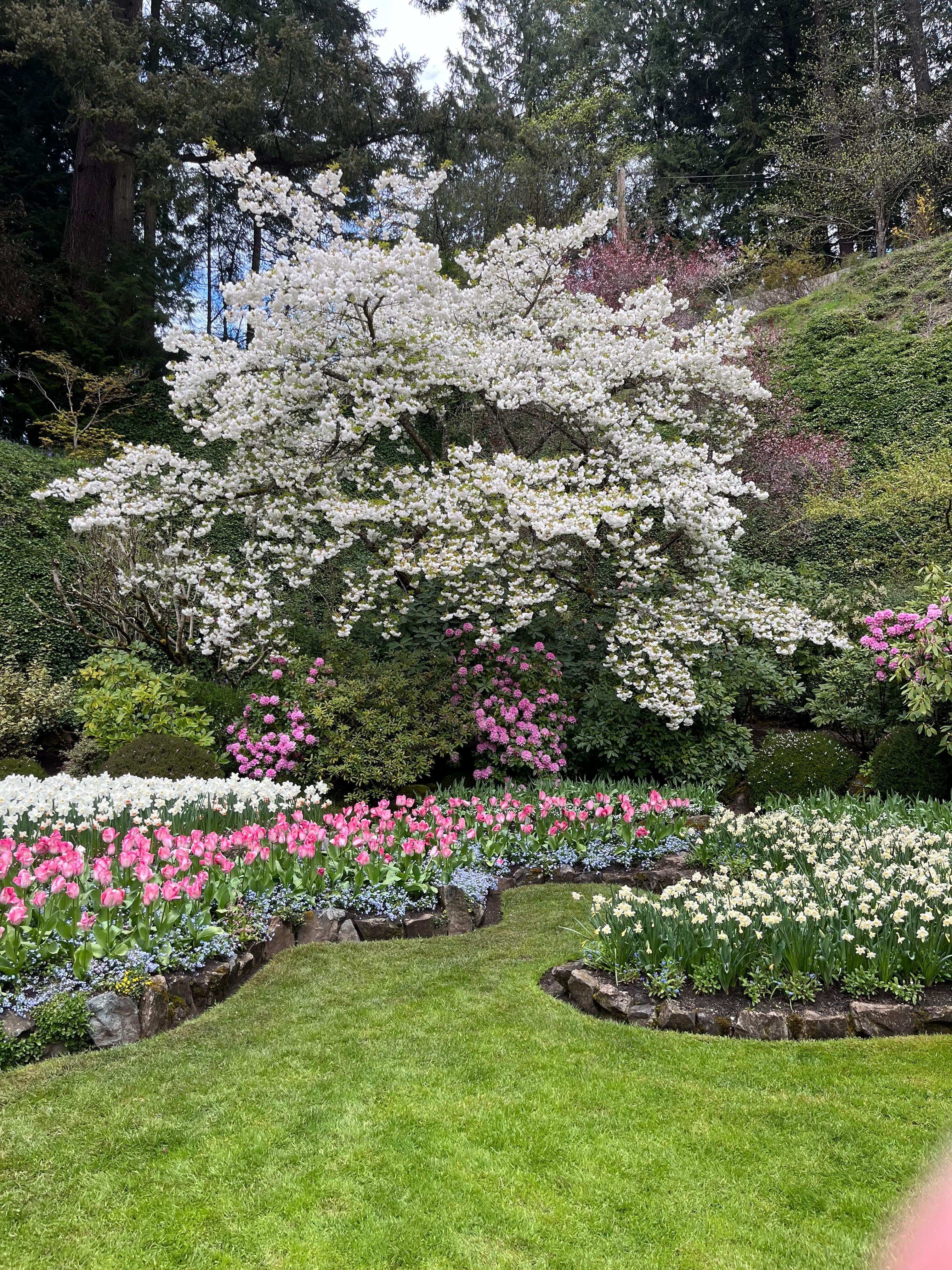 Butchart garden
