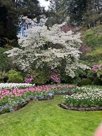 Butchart garden