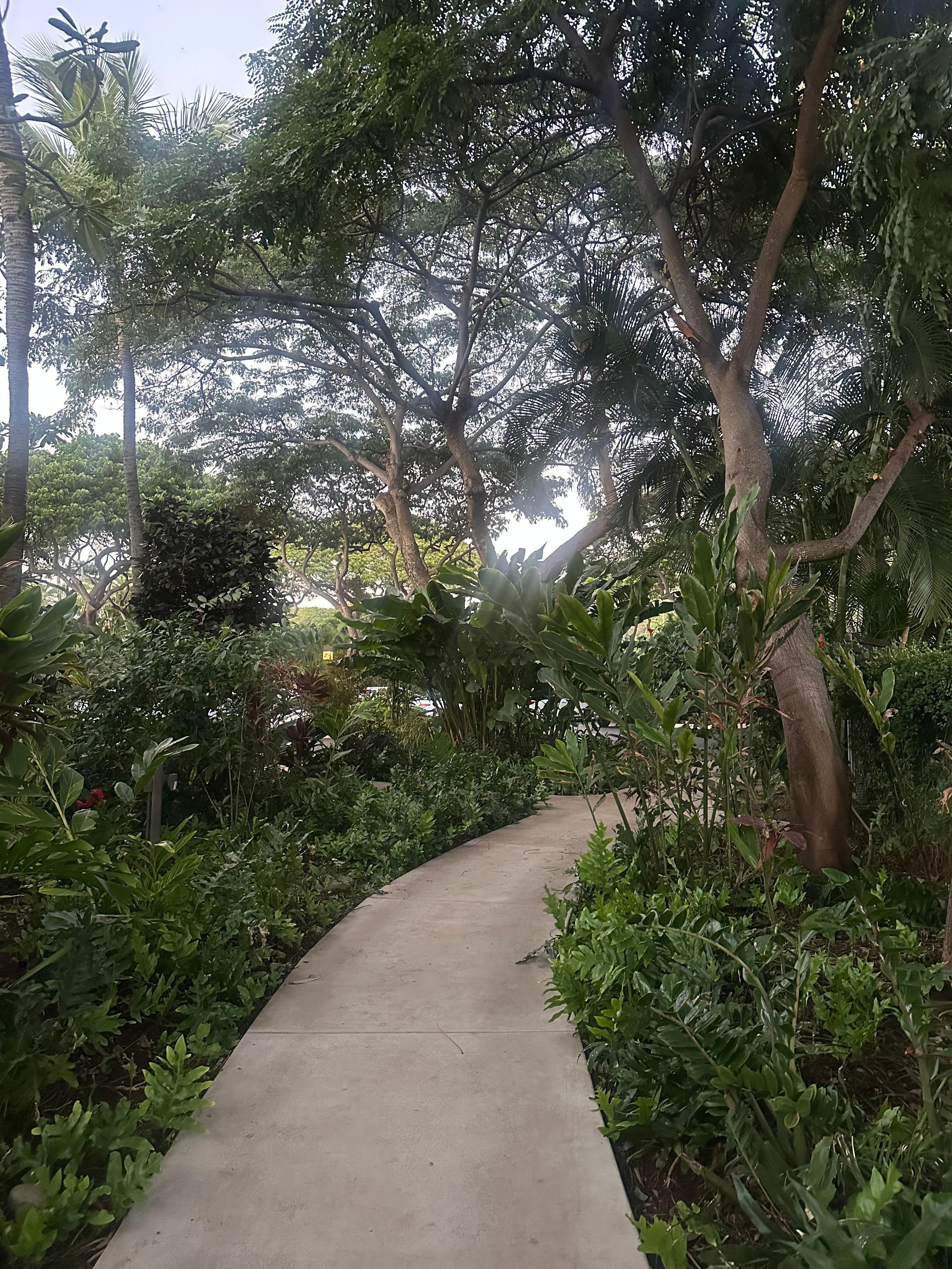 A walk on the grounds