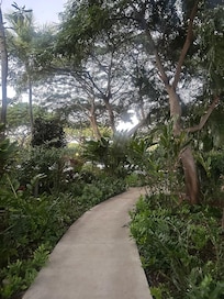 A walk on the grounds